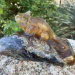 311568310_861547688588023_1162429327114996334_n