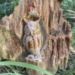 311569521_861552081920917_7020884583967368206_n