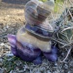 311593513_861547705254688_5424775981776265132_n